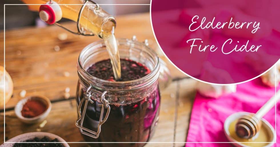 Immune Supporting Elderberry Fire Cider Recipe Kami McBride