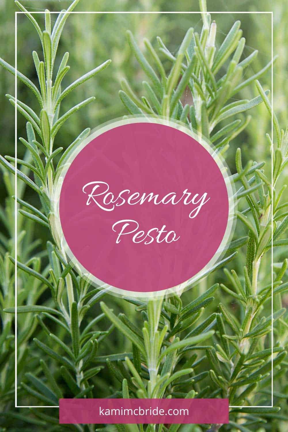 Rosemary Pesto Recipe