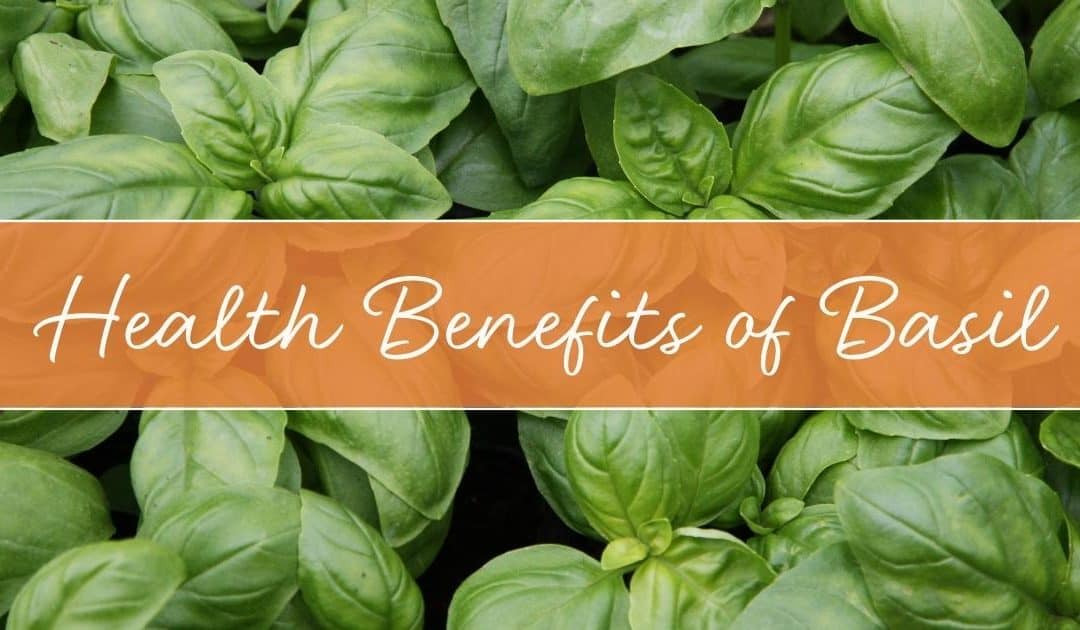 health benefits of basil