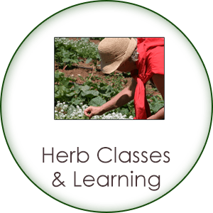 Shop Herb and Herbology Classes