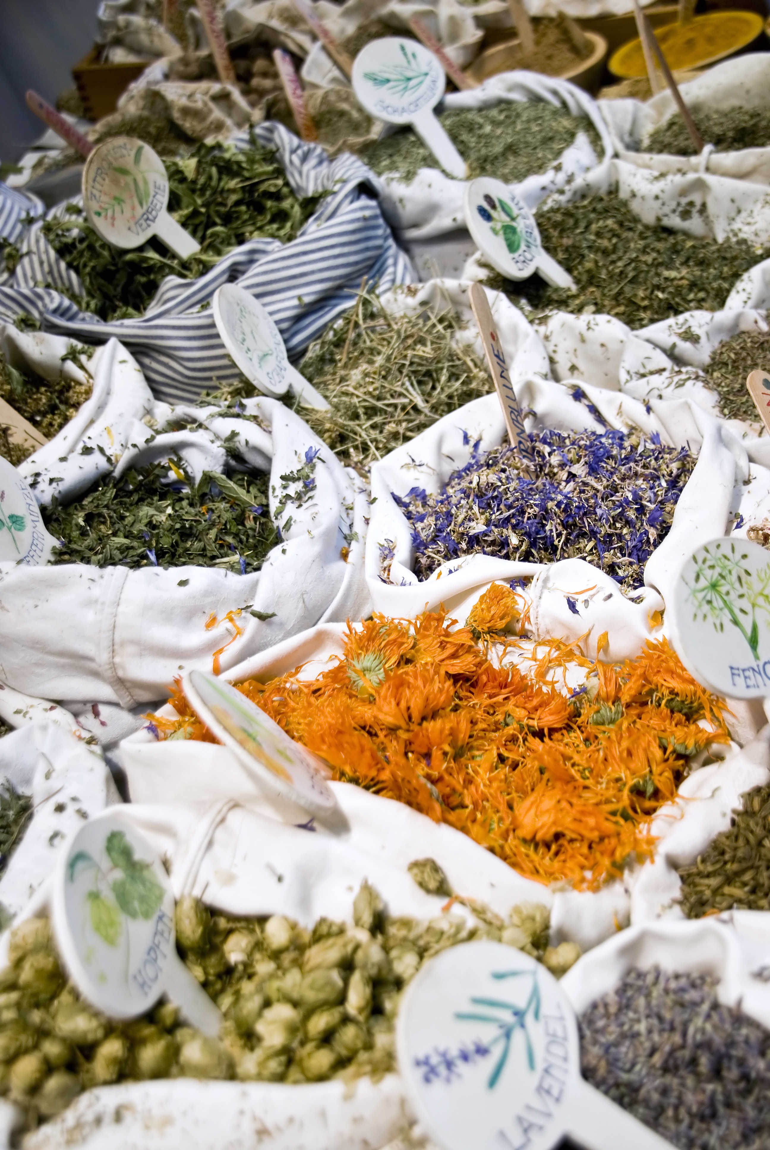 herbal-medicine-making-resources