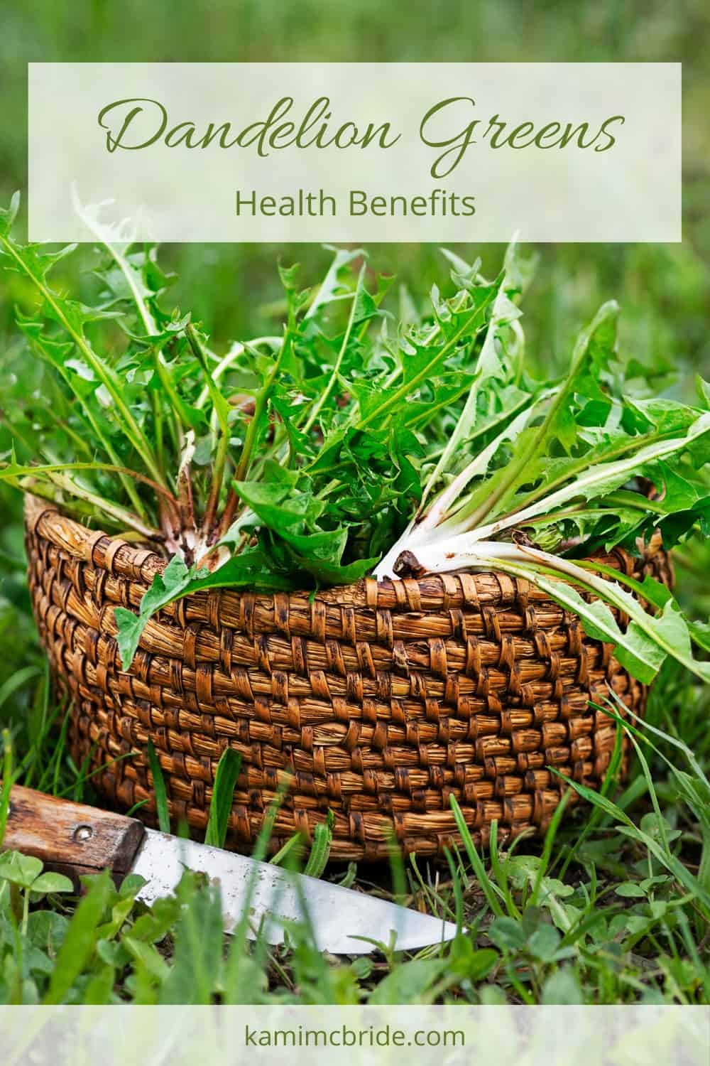 dandelion greens benefits