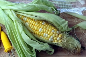 Fresh corn cob half open in his leaves and cornsilk