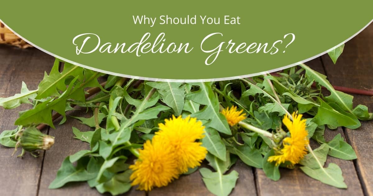 why eat dandelion greens