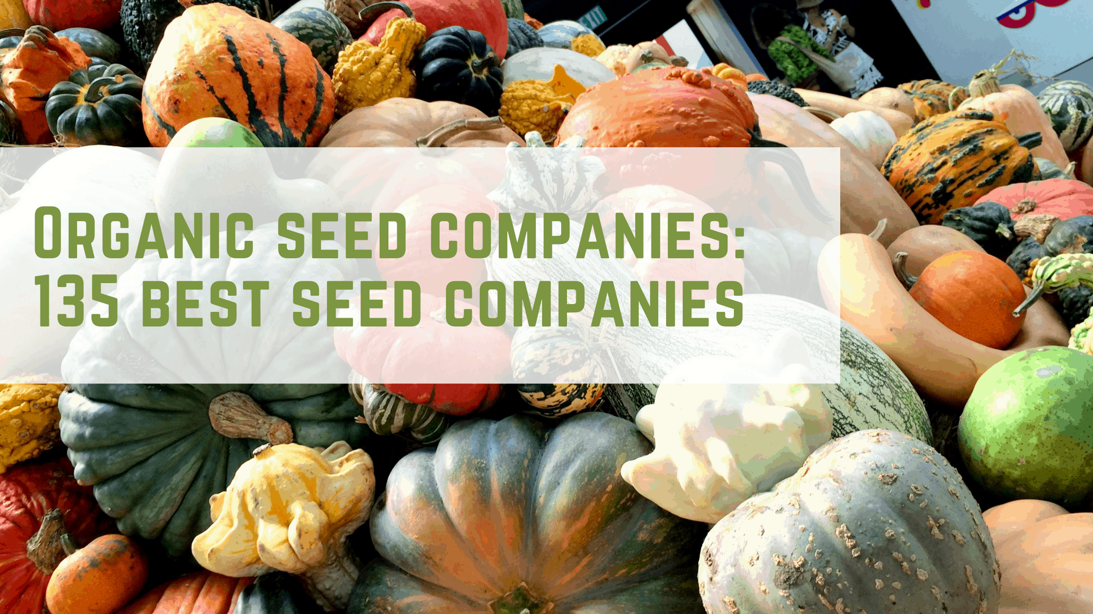 Organic seed companies 135 best seed companies Kami McBride
