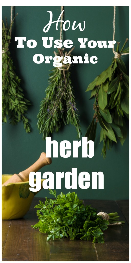 How to Use Your Organic Herb Garden