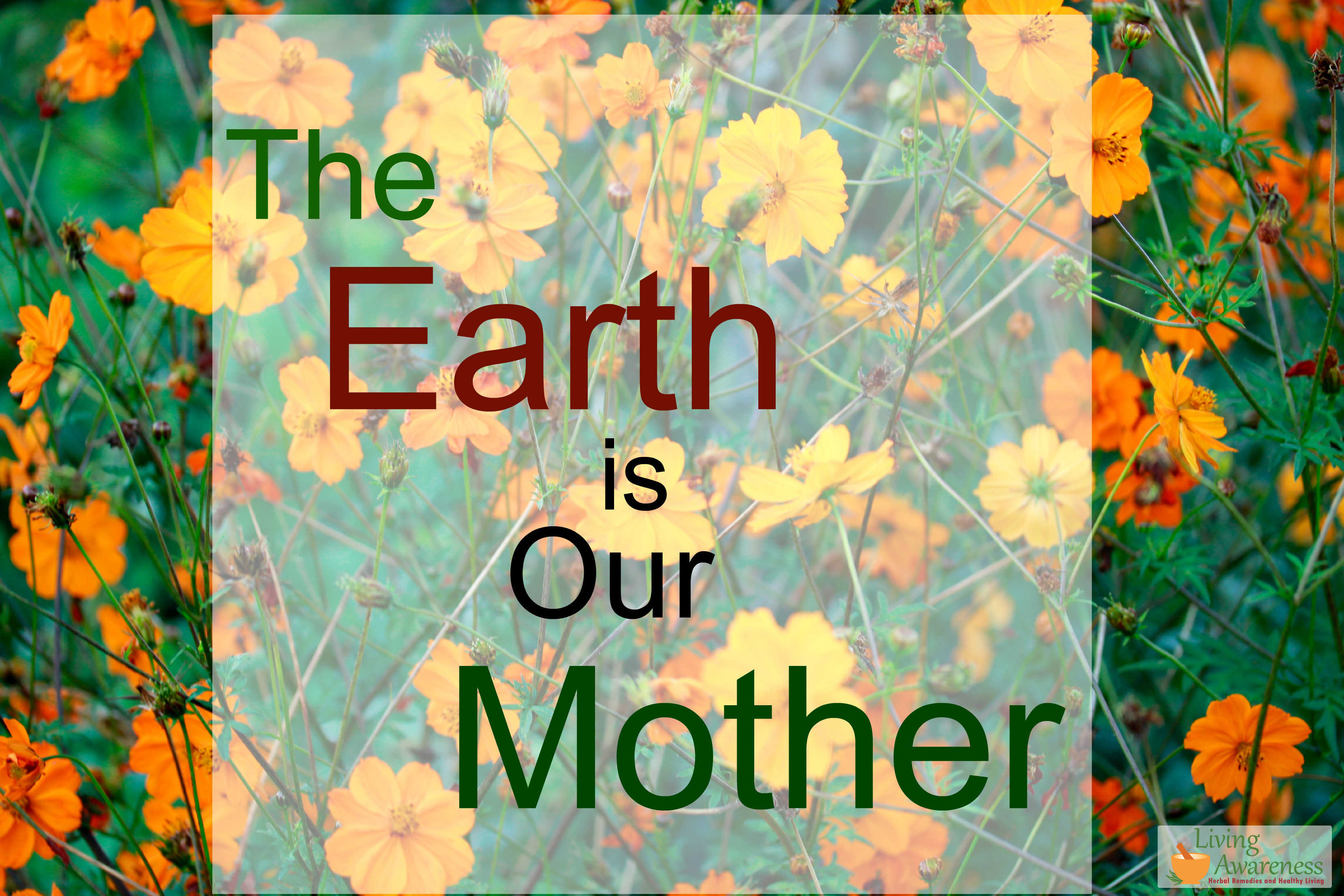 The Earth is Our Mother