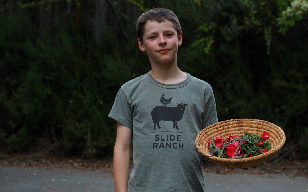 Does Your Child Need More Nature?