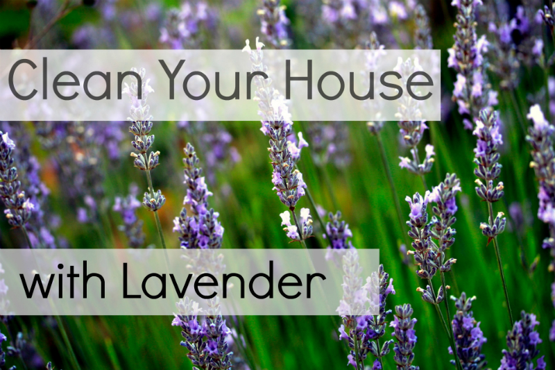 How I Clean My House with Lavender