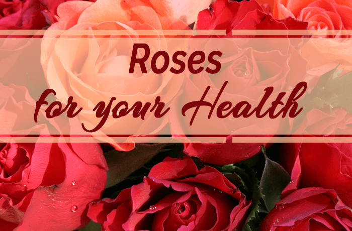 Roses For Your Health!