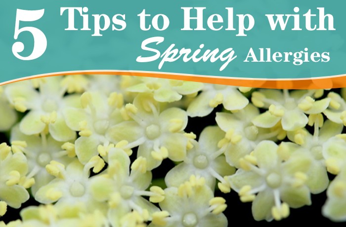 5 Tips to Help with Spring Allergies