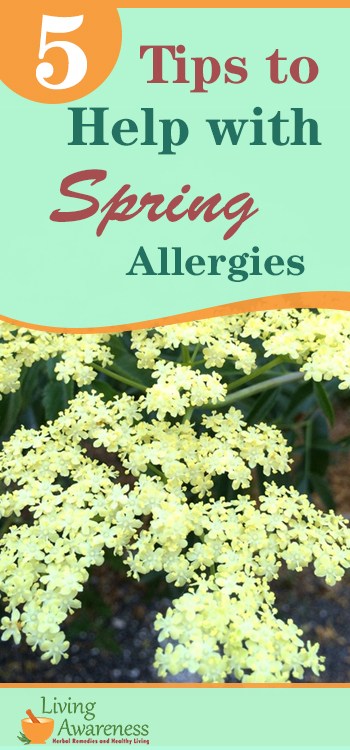 5 tips to help with spring allegies_pinterest size (1)