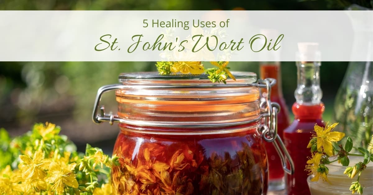 5 Healing Uses of St. John's Wort Oil