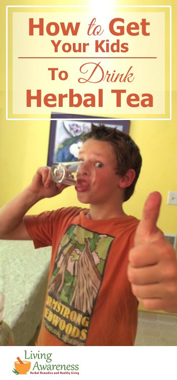 how-to-get-your-kids-to-drink-herbal-tea-pinterest