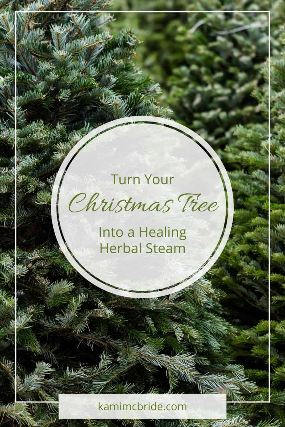 Turn Your Christmas Tree Into a Healing Herbal Steam