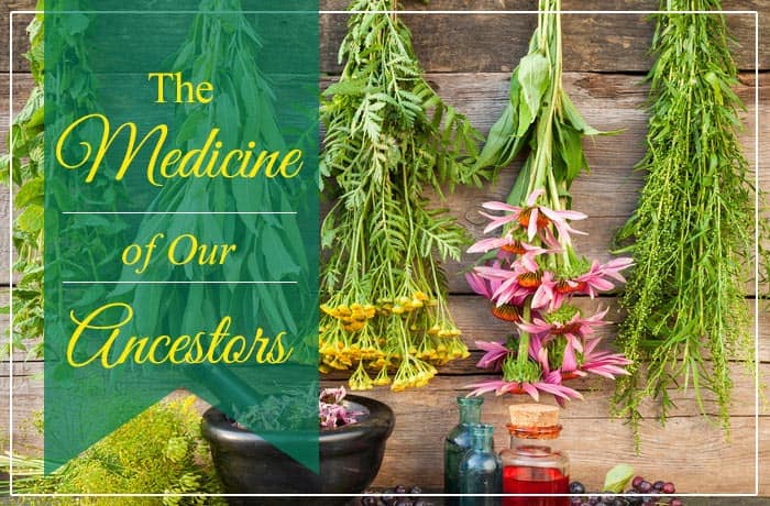 The Medicine Of Our Ancestors