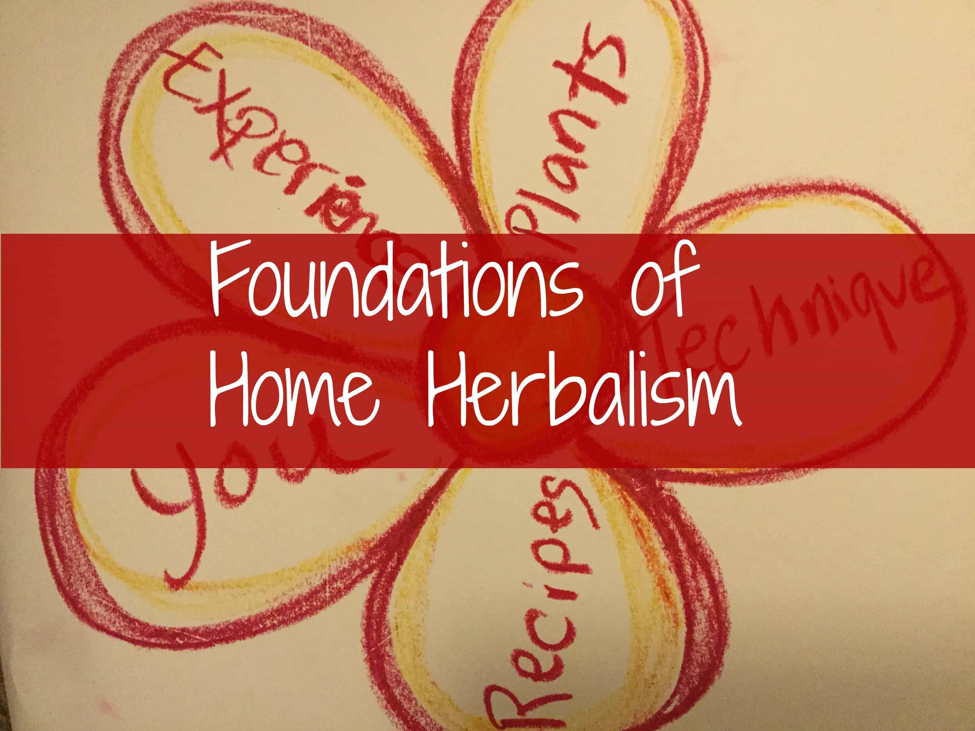 Foundations of Home Herbalism