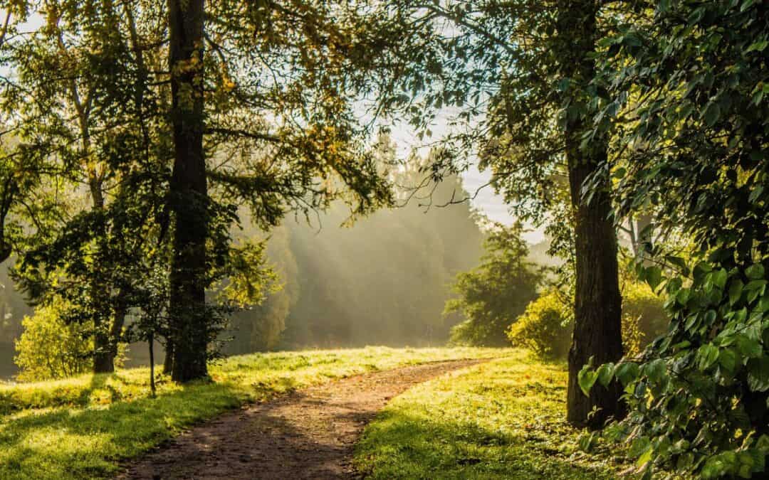 The Road Less Travelled