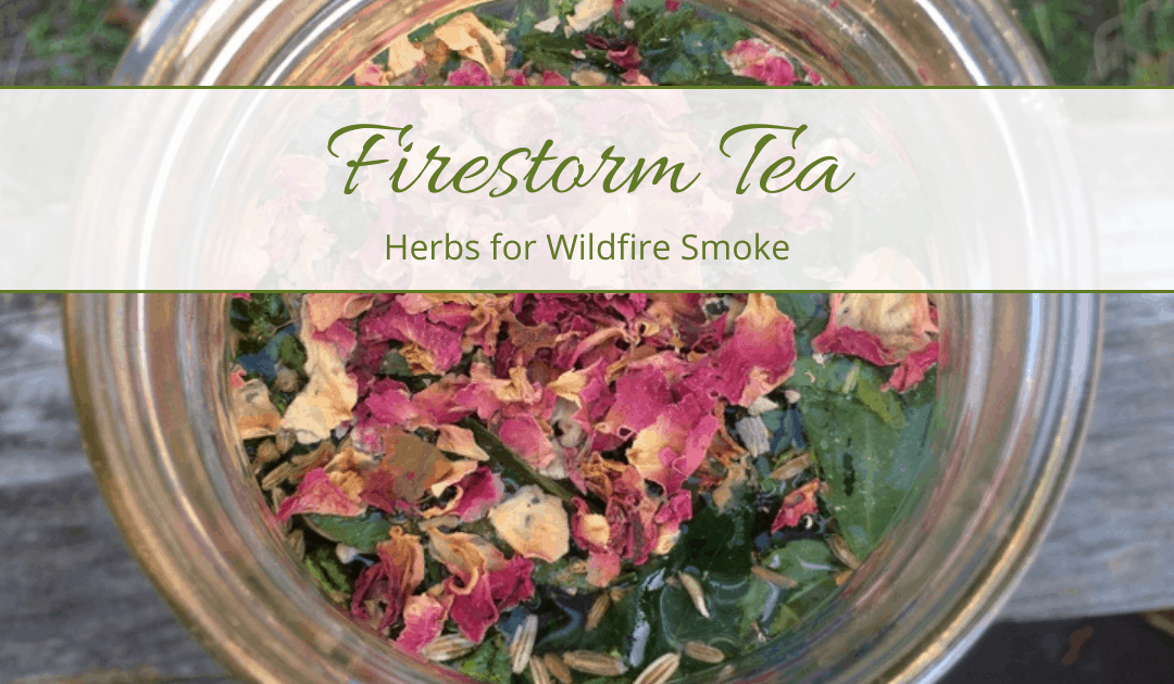 Firestorm Tea: Herbs for Wildfire Smoke