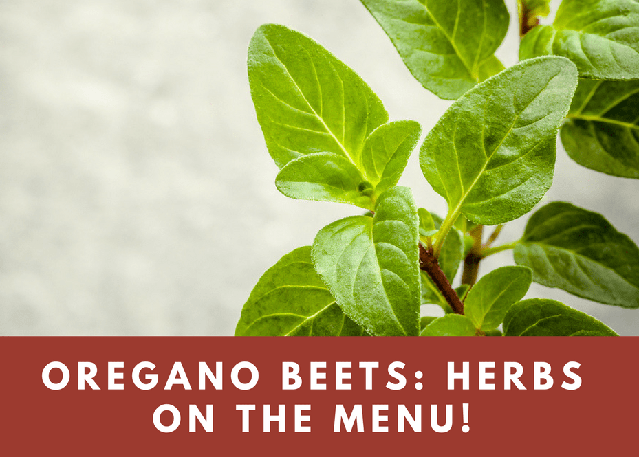 Oregano Beets: Herbs on the Menu