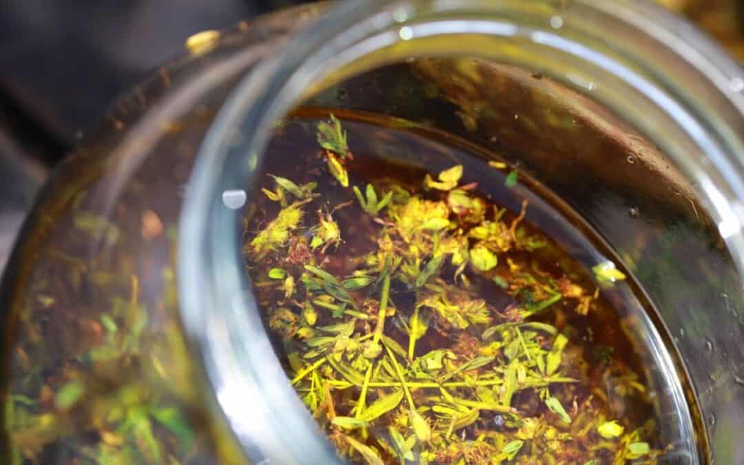 St. John’s Wort Oil Stories