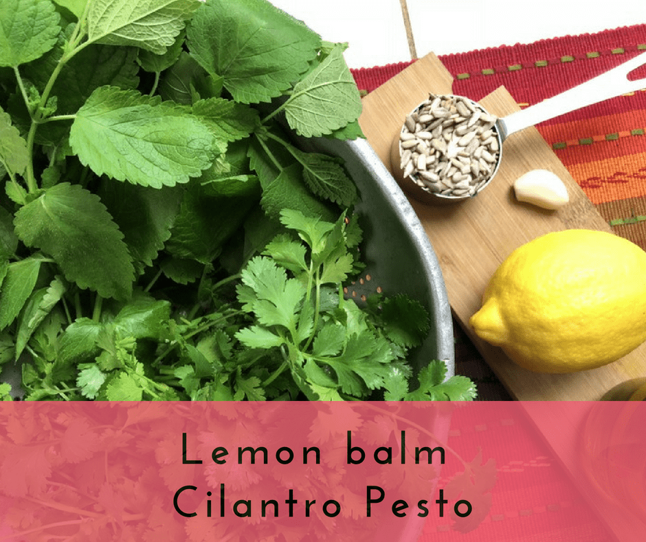 Lemon Balm Cilantro Pesto