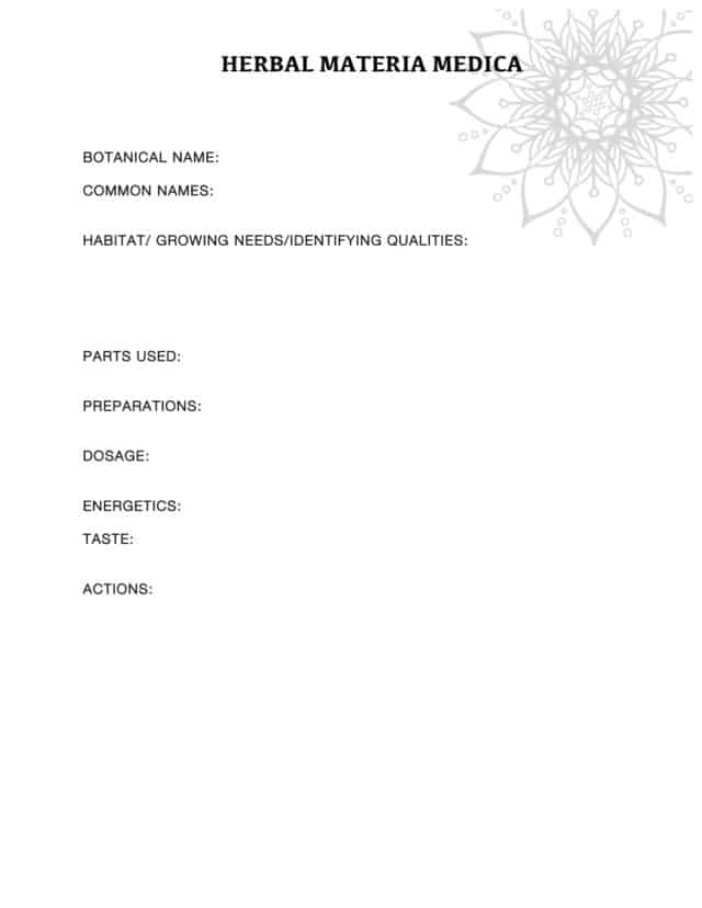 Organizing Your Herbal Studies: Herbal Materia Medica Sheet - Kami McBride