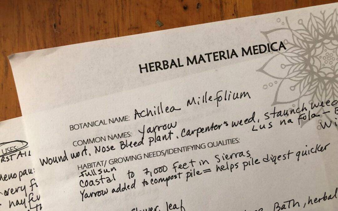 Organizing Your Herbal Studies: Herbal Materia Medica Sheet