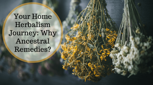 Your Home Herbalism Journey: Why Ancestral Remedies?