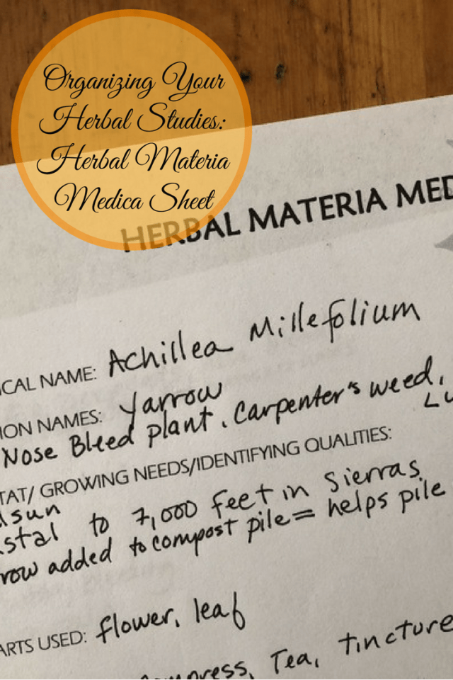 Organizing Your Herbal Studies: Herbal Materia Medica Sheet - Kami McBride