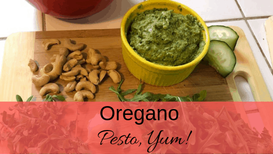 Fresh Oregano Pesto Recipe