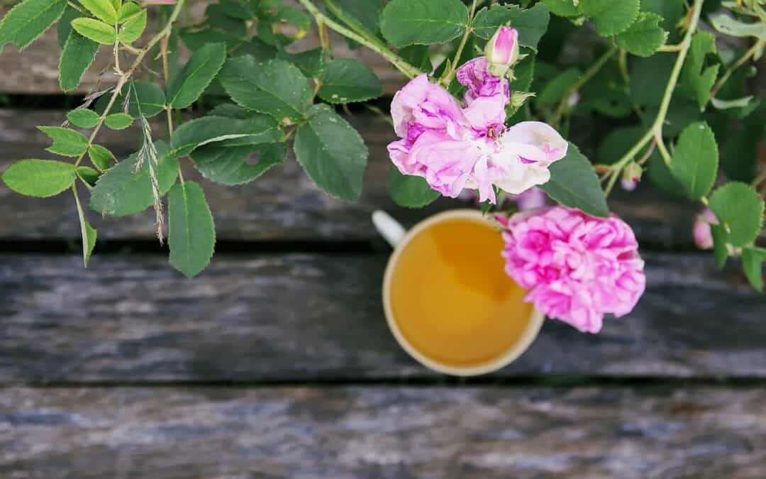 Did you play tea party with the fairies?