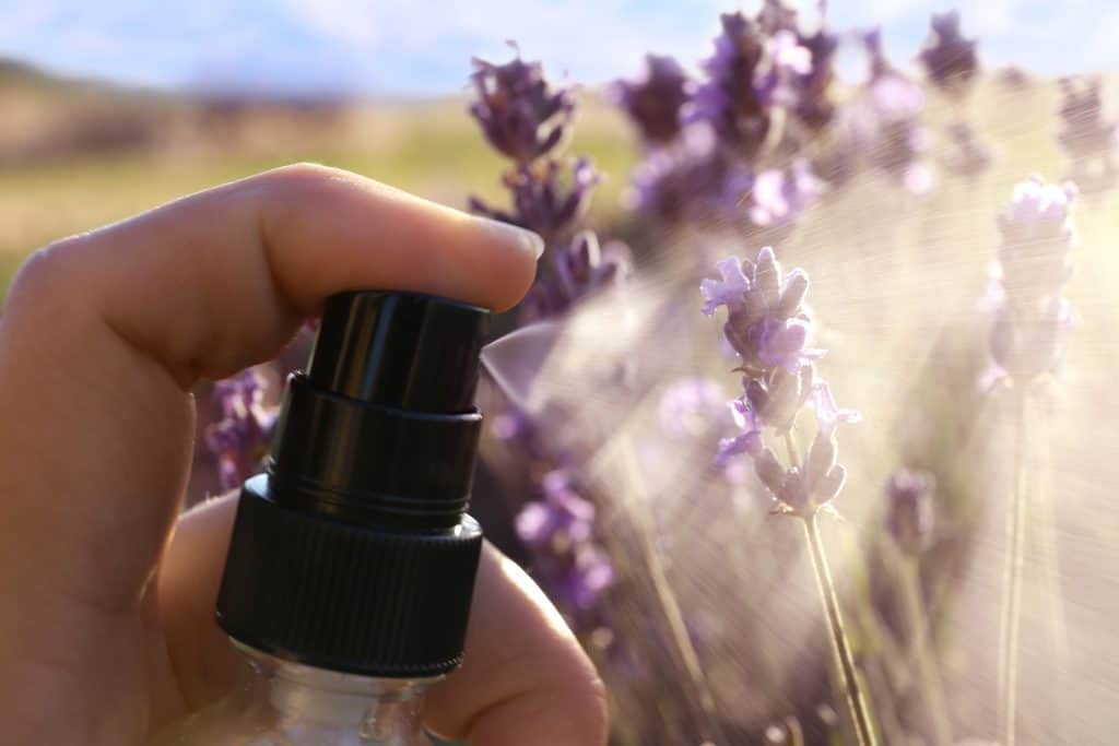 homemade spray hand sanitizer with lavender