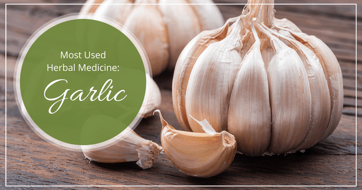 Most Used Herbal Medicine: Garlic for Colds and Flu Prevention
