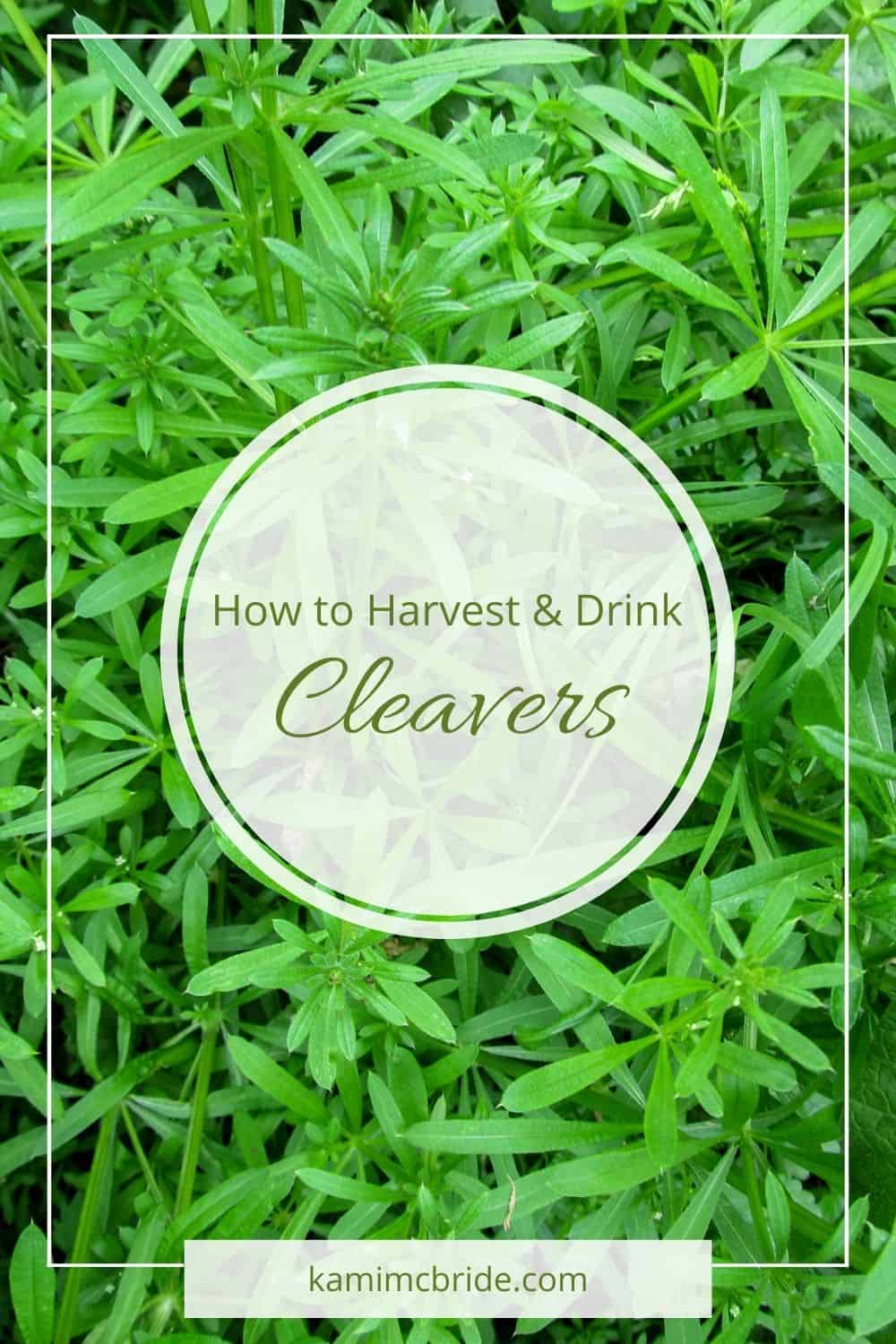 How to Harvest & Drink Cleavers
