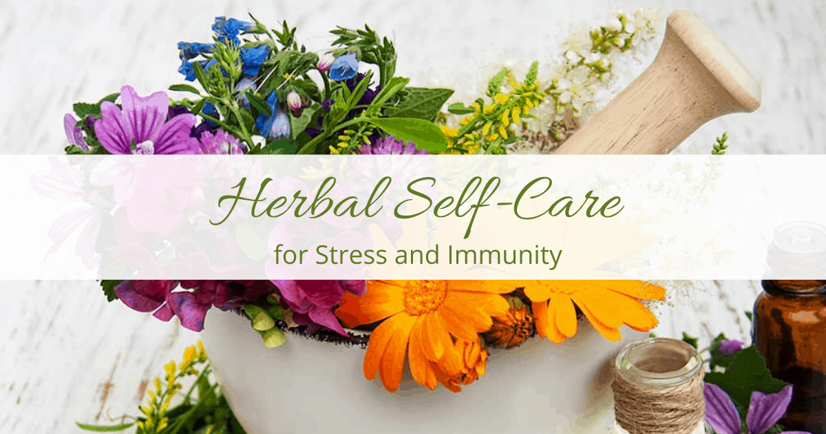Herbal Self-Care Techniques for Stress and Immunity