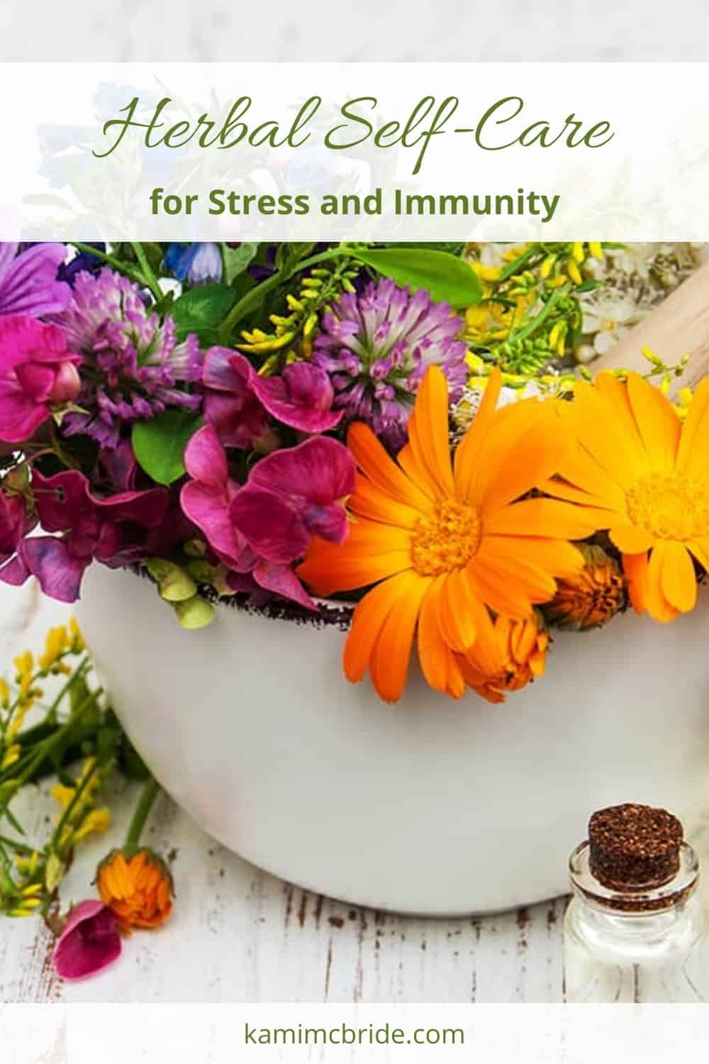 Herbal Self-Care Techniques for Stress and Immunity