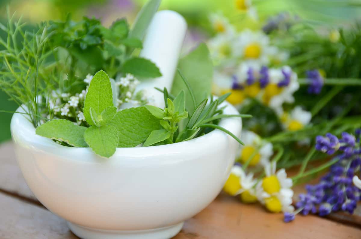 mortar and pestle with fresh herbs and flowers