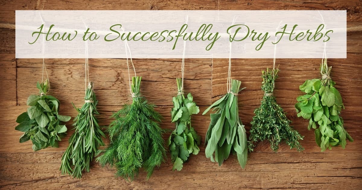How to Dry Herbs: 3 Things You Need to Consider