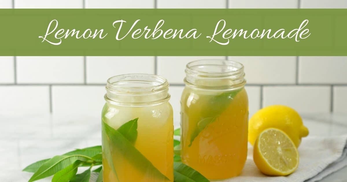 Lemon Verbena Tea Benefits + A Simple and Refreshing Lemonade