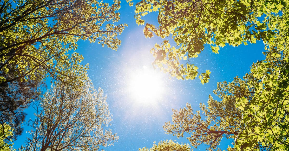 Earth Medicine: How Does the Earth Heal You?