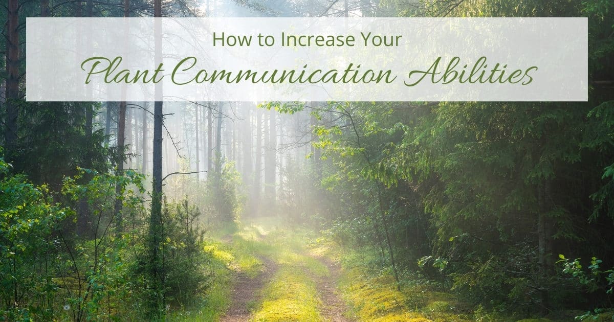 How to Increase Your Plant Communication Abilities
