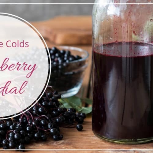 No More Colds Elderberry Cordial Recipe