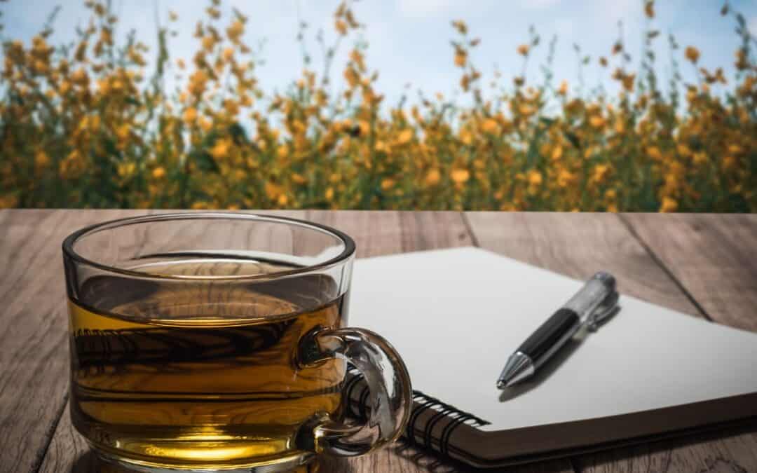 How to Increase Your Plant Communication Abilities