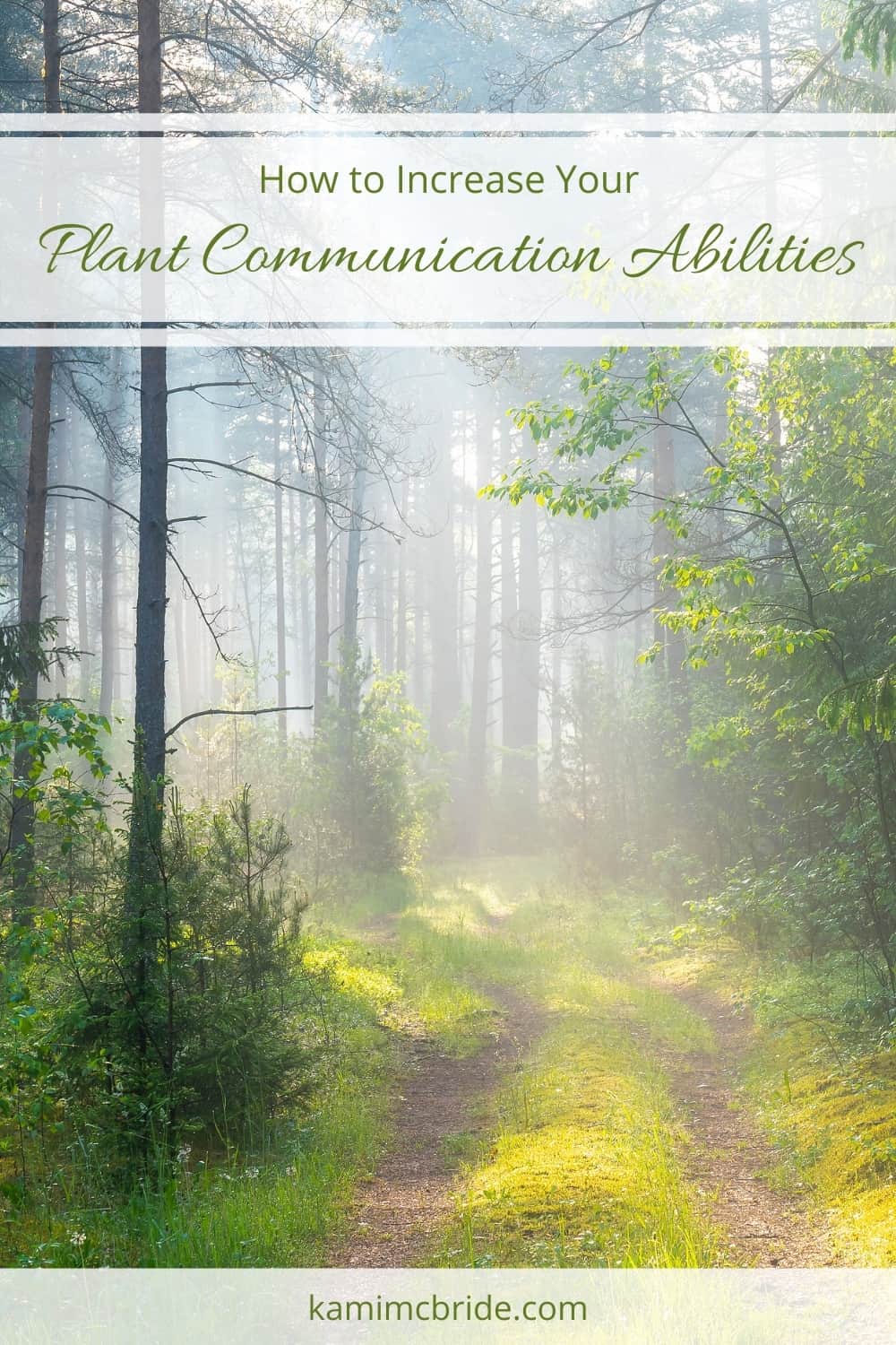 How to Increase Your Plant Communication Abilities