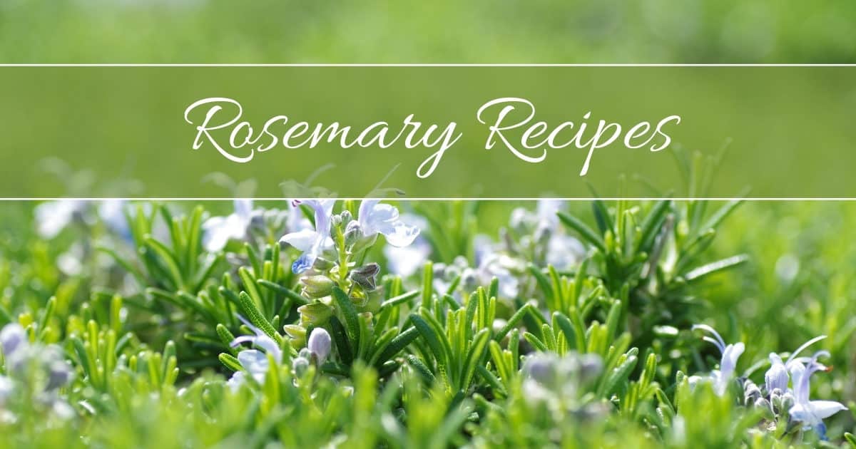 Rosemary Recipes to Enhance Memory, Circulation, Digestion & More