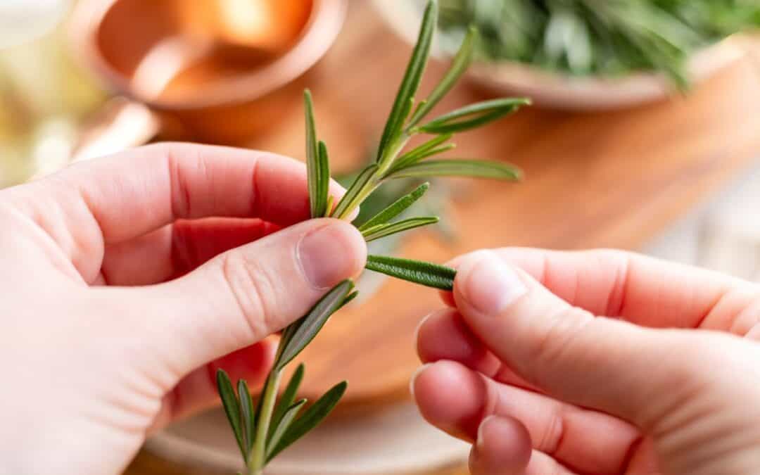 Rosemary Recipes to Enhance Memory, Circulation, Digestion & More