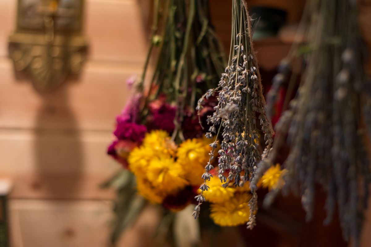 What Role Do Herbs Play in Your Seasonal Celebrations?