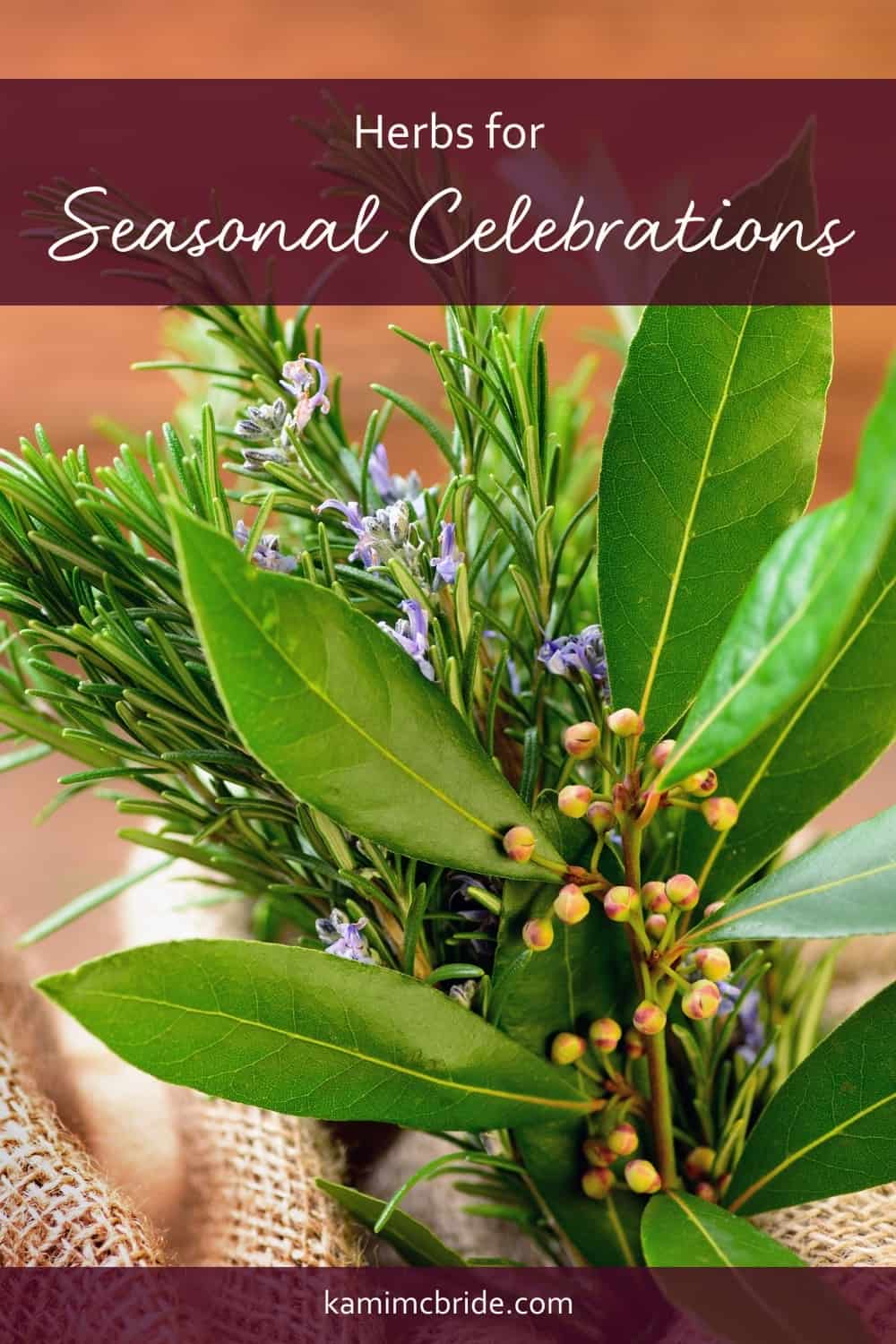 herbs for seasonal celebrations