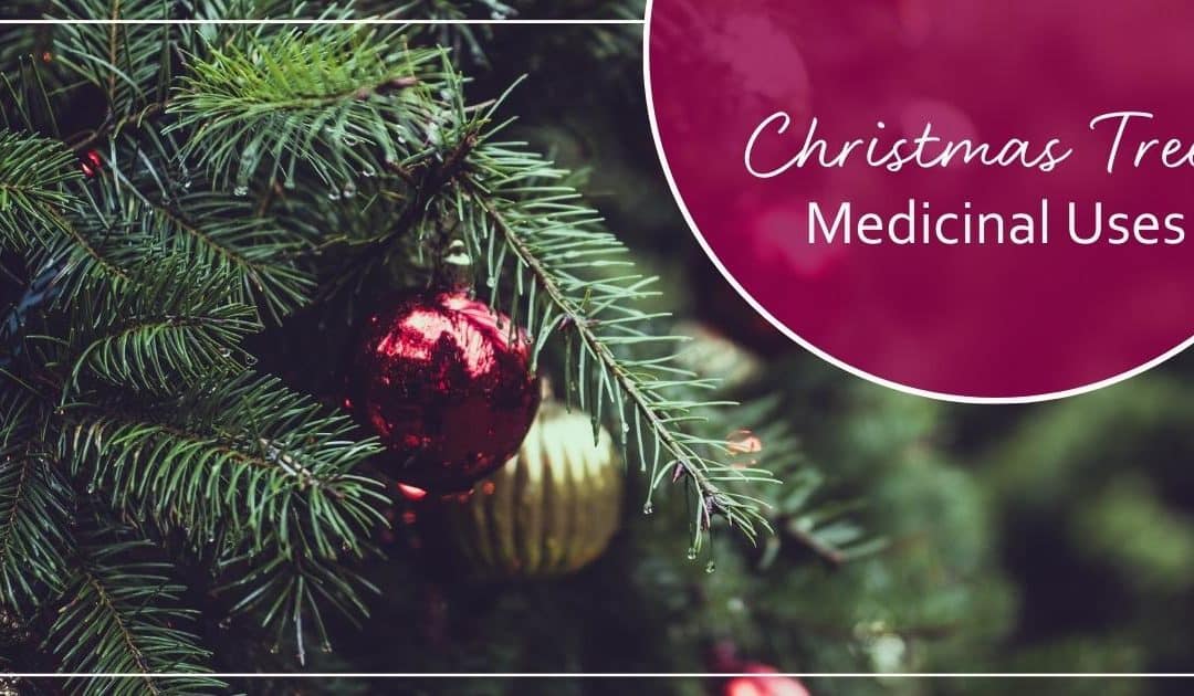 5 Medicinal Uses for Your Christmas Tree
